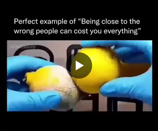 #life #contagious #friends #coworkers #family #psychology #psychiatry #people #rise #mold #disease #tolife #goodness #today | Robert Nathanson