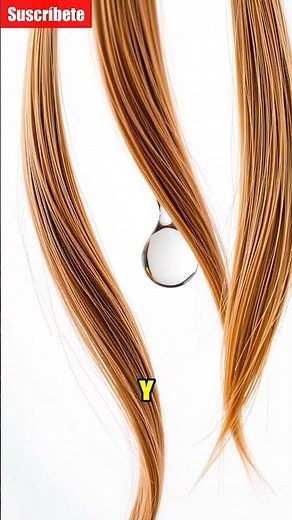 Hair Porosity: Test! 💧