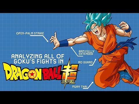 Goku's Fighting Style EXPLAINED- Dragon Ball Super [Old Version]