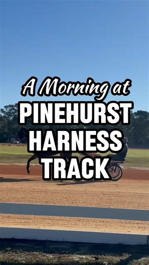 Come spend a morning at the Pinehurst Harness Track! Since 1915, this historic training center has welcomed Standardbred horses each winter, as young racers prepare for the season from October through April. Visitors can watch the action from 7:00am to 1:00pm, and if you’re lucky, a few friendly horses might even stop by to say hello! While you're there, grab breakfast or lunch at the Pinehurst Track Restaurant, open six days a week. It’s cash only, but the food is worth it - especially their fa