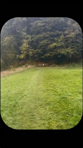 I listen to System of a Down 🙏🪨🙏 #life #inspiration #music #systemofadown | Isaac H.P