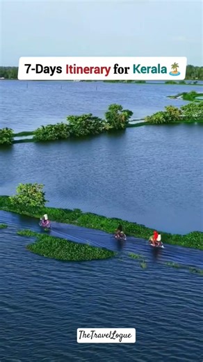 unbelievable! 🏞😊🥰Days Kerala Itinerary | Munnar, Thekkady, Alleppey & Kovalam Tour Plan #keralatrip