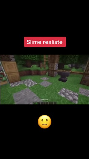 Realistic Slime Creations for Minecraft Enthusiasts