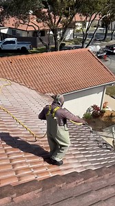 Miami’s Pressure Washing Services is South Florida’s leading soft wash and pressure cleaning company. With over 14 years in the business, we pride ourselves on quality, reliability, and exceptional customer service. We are not just another company vying for your attention; we’re dedicated to providing the best solutions for your cleaning needs! & Call or text us today for a FREE consultation and see the difference for yourself! Let’s make your property shine! #MiamiPressureWashing #SouthFlorida 