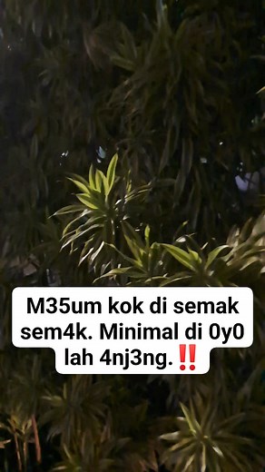 452K views · 1.2K reactions | Dasar gak modal. #fypシ゚ #iklanreels #fbreels #fyp #fyp代做 #facebookreels #videoreels #reels #viral #cantik #edukasi #tips #trik #tutorial #bantu #reelsindonesia | Salsa Bunga | Facebook