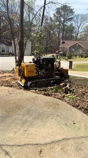 #fyp #proservicetreeservice #TreeRemoval #supportsmallbusiness