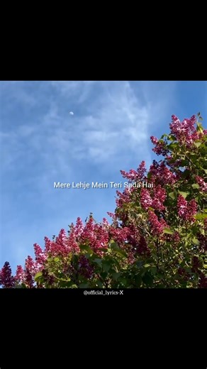 This Song 🤍🥺 #shorts #lyrics #song