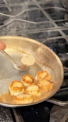How to make scallop gratin with Gruyère cheese. Subscribe to my Substack for the full recipe at the link in my bio! #scallops #howtocookscallops #cooking #cookingtips #easyrecipes | Alex Guarnaschelli