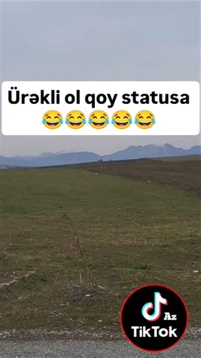 Ürəkli ol qoy statusa