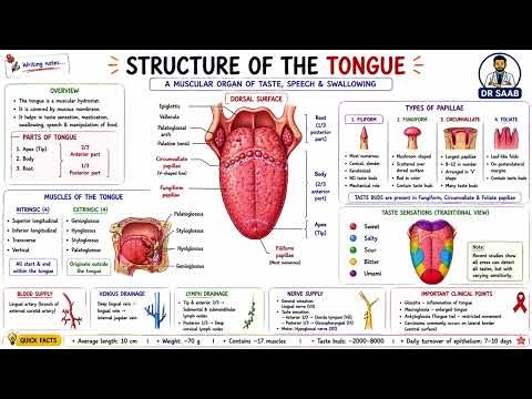COMPLETE HUMAN ANATOMY ( one shot revision)