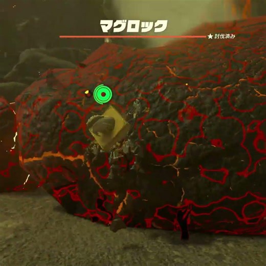 【ティアキン】カワマイテの根付近のマグロック ゼルダの伝説ティアーズ オブザキングダム #ゼルダの伝説 #ティアキン #zelda #shorts