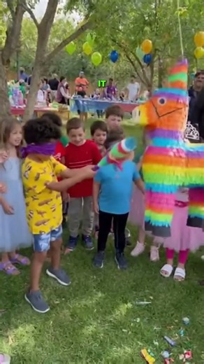 Dog Surprise in the Piñata?! 🎉🐶