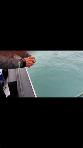 6K views · 45 reactions | When practicing catch and release I suggest using a dehooker. It’s safer and easier for the fish (when done correctly). Plus, it saves a lot of time vs netting every fish. Fish Em LLC (907)317-4714.  #barbless #fishing #troutfishing #rainbowtrout #rainbowtrout #catchandrelease | Fish Em LLC | Facebook