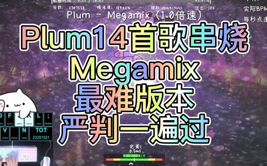 【全国首通】这回没话说了吧？Megamix10分钟串烧严判一遍过