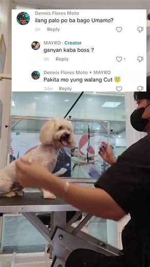 Aso na Umamo: Walang Cut na Video