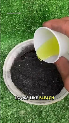 Trick to Remove Stubborn Stains on Teflon Using Charcoal and Soda