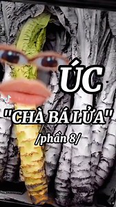 4.7K reactions · 11 comments | Có ai hỏng ăn được wasabi hơm 樂 . . . #review #duhocsinh #duhocuc #uabaduong #sydney #vietnam #reels #video | Dương Phạm | Facebook