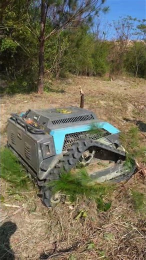 Professional Grade Lawn Mower Optimized for High Workload Projects