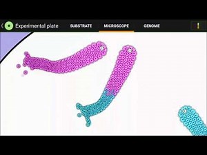 Cell Lab: Viro-worm Color War
