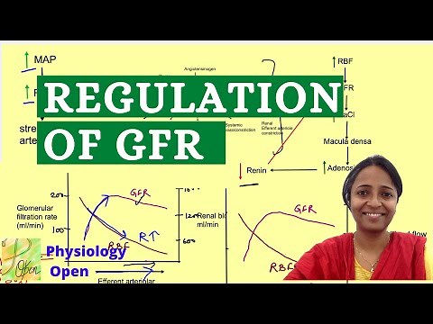 Regulation of Glomerular filtration rate | Tubuloglomerular feedback | Renal system physiology