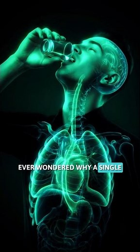 The Speed of a Shot Tequila vs Your Body!