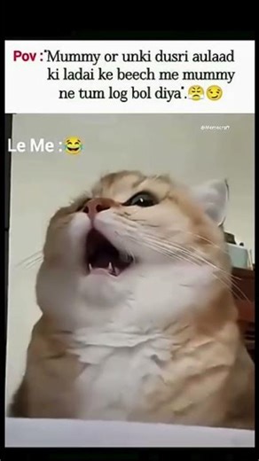 It's Never Tum It's Always Tumlog fe#memes#relatable #funnymemes #cat #mom #siblings #memesdaily