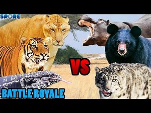 Animal Fight Club 3 Battle Royale | SPORE