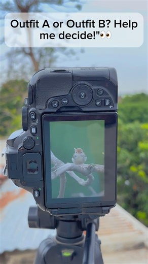tamron best wildlife 600mm lens with nikon #photography #naturephotography #outdoorphotography