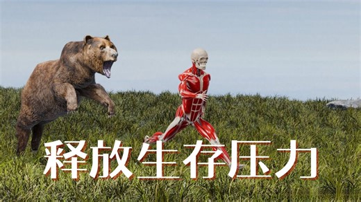 为何运动才是现代生活压力的解药？解剖学深层解析｜中文配音｜人体解剖系列