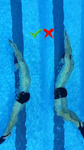 48 reactions | The correct way to move the dolphin medium into the water Swimmingmax ‍♂️‍♀️ | Swimming Max | Facebook