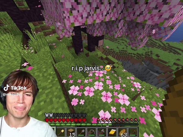 Celebrating 2 Million Views: Jarvis and Bingus