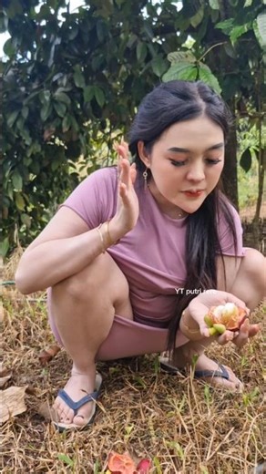 suasana di pedesaan makan buah manggis langsung dari pohonya #gadisdesa #pedesaan #kebun #jandadesa