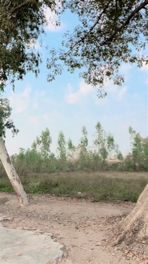 Viral Trending Video of Love and Smiles