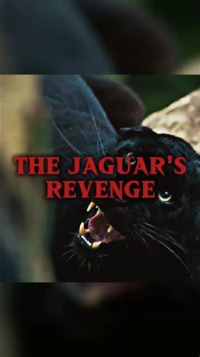 The Real Fear Behind Apocalypto’s Jaguar Attack