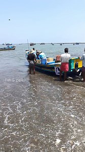 19K views · 282 reactions | Must watch  Amazing Big Catch fishing in the Sea  | Fish & pets | Facebook