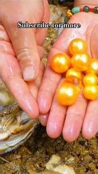 Pearl Explore 🫧🦪 #pearlstone #pearl #explore #shortvideos #shortsfeed #shorts #viralvideo #foryou