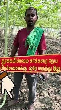 தூக்கமின்மை சர்க்கரை நேய் பிரச்சனைக்கு ஒரே மருந்து இந்த காய் /Remedy for Insomnia and Diabetes!”