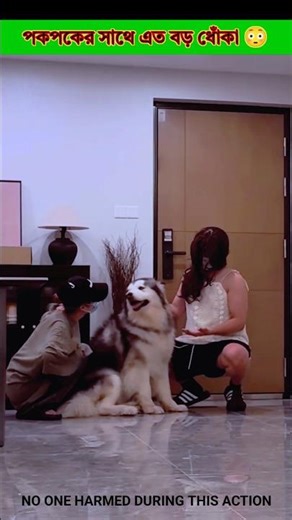 Such a big scam with Pokpok 😳