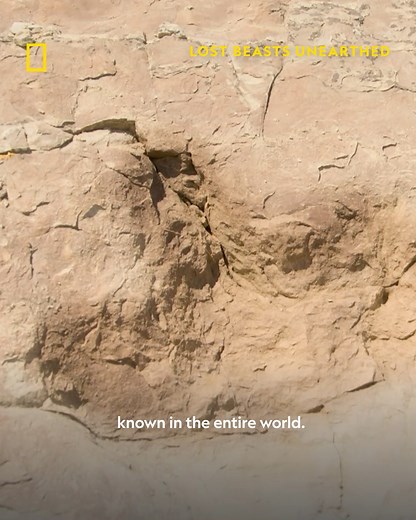 390K views · 5.6K reactions | Scientists are forever on a quest to...