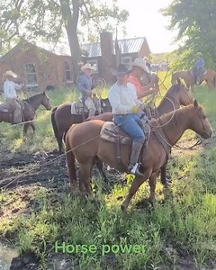 Cowboy shit. (Via @2bjustranching/TikTok) | Slap Dicks Cattle Co.
