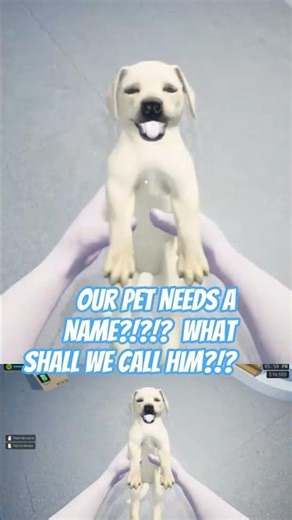 Our Exotica 2 Pet Needs A Name! Any suggestions?!? #exoticapetshopsimulator #pc #steam #animals