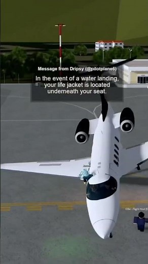 ROBLOX AIRLINE PRIVATE PLANE GOES CRAZY AND GLITCHES! #holidayswithyoutube