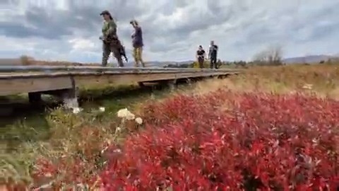 3.8K views · 14 reactions | The Canaan Valley National Wildlife Refuge expands by nearly 2,000 acres. ️ Wild Appalachia brings you the details on one of West Virginia's most beautiful areas. https://bit.ly/3PJPSLG | WCHS Eyewitness News | Facebook