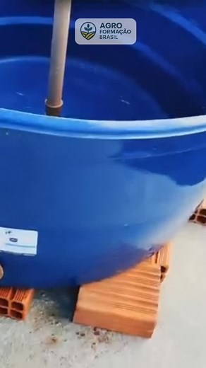 Link no nosso perfil ou chama a gente pelo nosso WhatsApp 27 98122-2199 Enquanto muita gente fala em crise, tem gente ganhando dinheiro criando camarão no quintal! 💥 Aprenda como montar o sistema, cuidar da água, alimentar e vender tudo o que você produz. Tudo explicado passo a passo no Projeto Camarão: ✅ Aulas práticas ✅ Lista de materiais ✅ Fornecedores de larvas ✅ Acompanhamento de especialista 👇 Clique no link do perfil e comece a sua criação agora. | Agro Formação Brasil