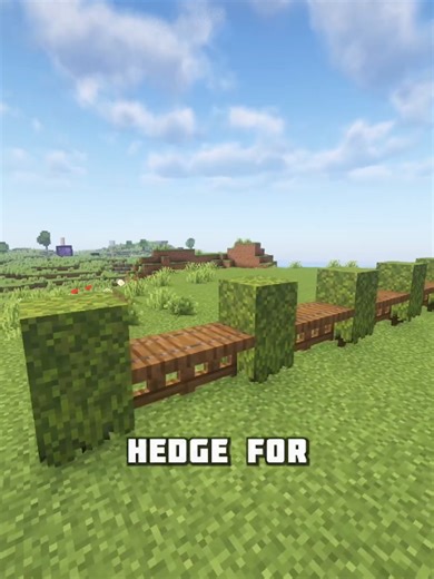 How to Build a Hedge in Minecraft