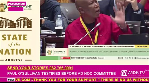 EFF leader Julius Malema tells Paul O’Sullivan that he will cooperate with the committee, after O’Sullivan had threatened to withdraw. #AdHocCommittee | MDN News