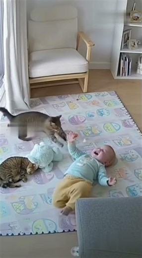 Cat attacks baby for a shocking reason#shorts #cat #hero