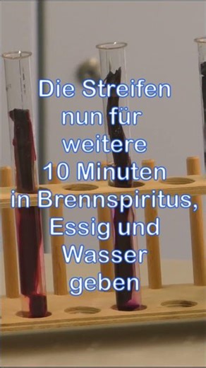 WORAUS bestehen BIOMEMBRANEN?