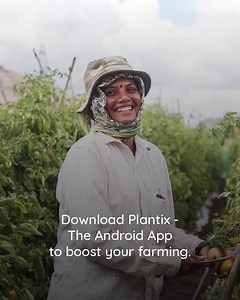 123K views · 34 reactions | Take a picture of your plant, detect the disease and know how to heal it easily - Do it Plantix. Download the app now. | Plantix | Facebook