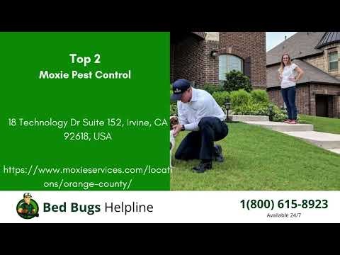 Top 3 Bed Bug Removal Companies in Tustin